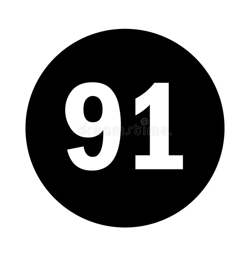 91浏览器
