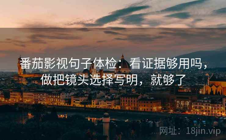 番茄影视句子体检：看证据够用吗，做把镜头选择写明，就够了