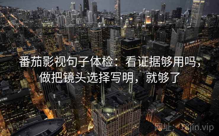 番茄影视句子体检：看证据够用吗，做把镜头选择写明，就够了  第2张